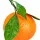 Mandarin Orange