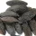 Tonka Bean